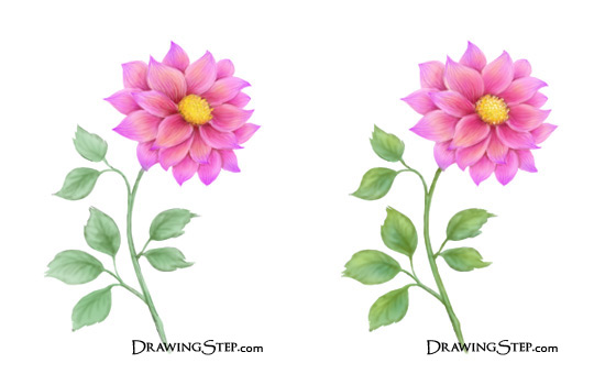 How to Draw a Flower Step by Step - Beautiful Flower Drawing