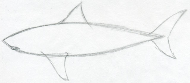 Draw Shark