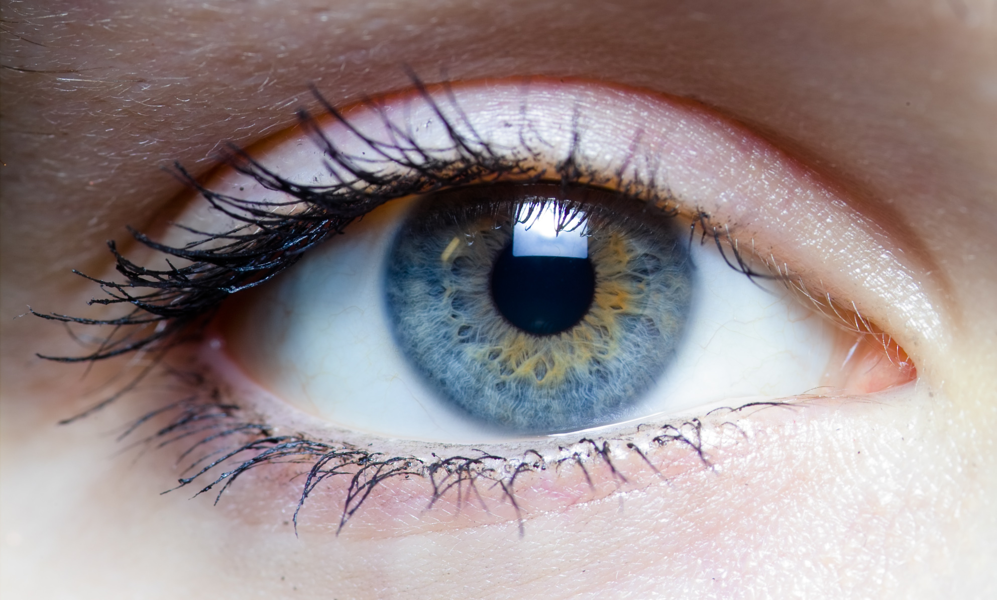 In Search of My Father's Glass Eye | Motherboard