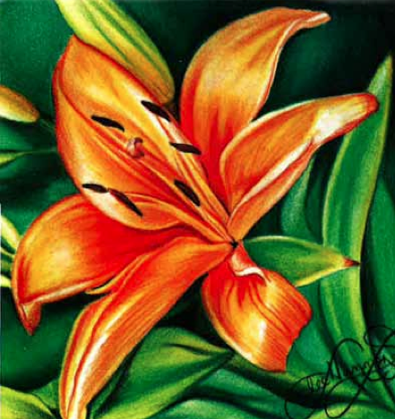 Learn How to Draw Flowers with Artists Network