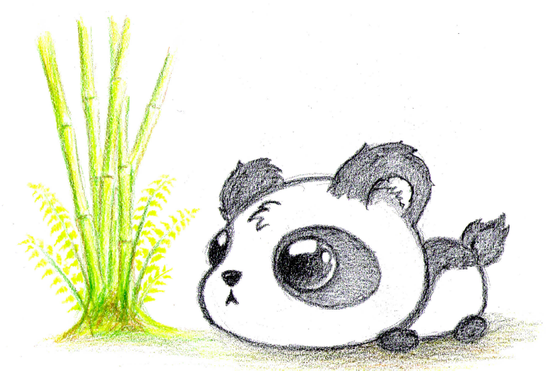 Cute Panda Bear Drawing - Gallery