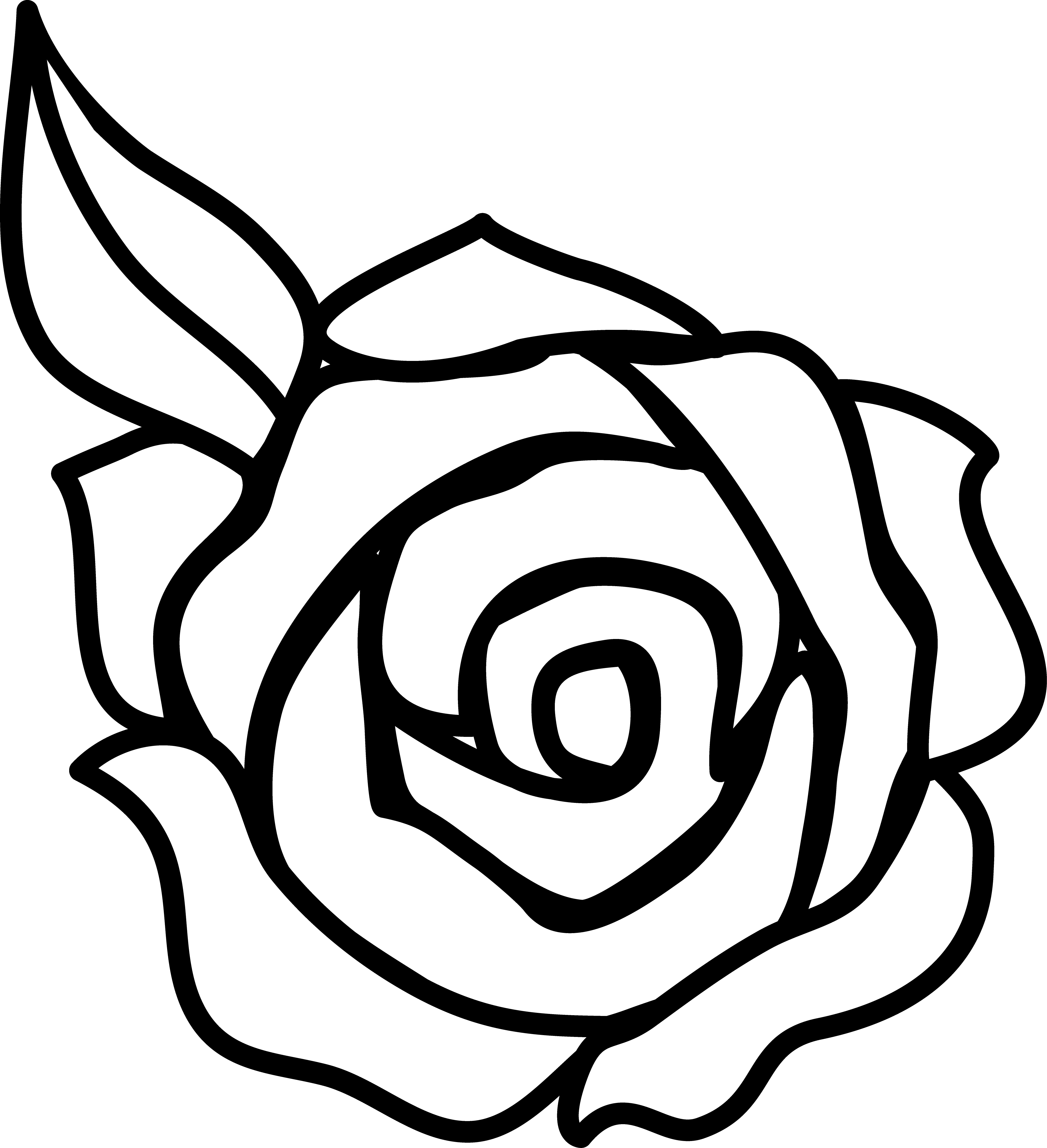 Free Black And White Line Drawing Of A Rose | imagebasket.net