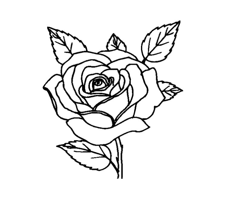 The Two Very Beautiful Rose Flower Coloring Page For Kids - Flower ...