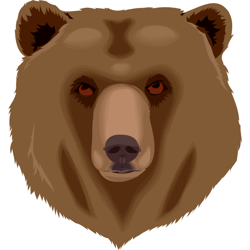 Clipart - Architetto orso 16 Grizzly Bear