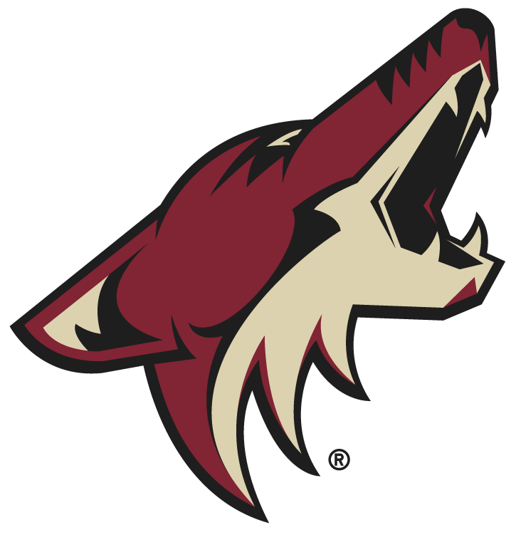 NHL Power Rankings: Week 7 | The Lowdown