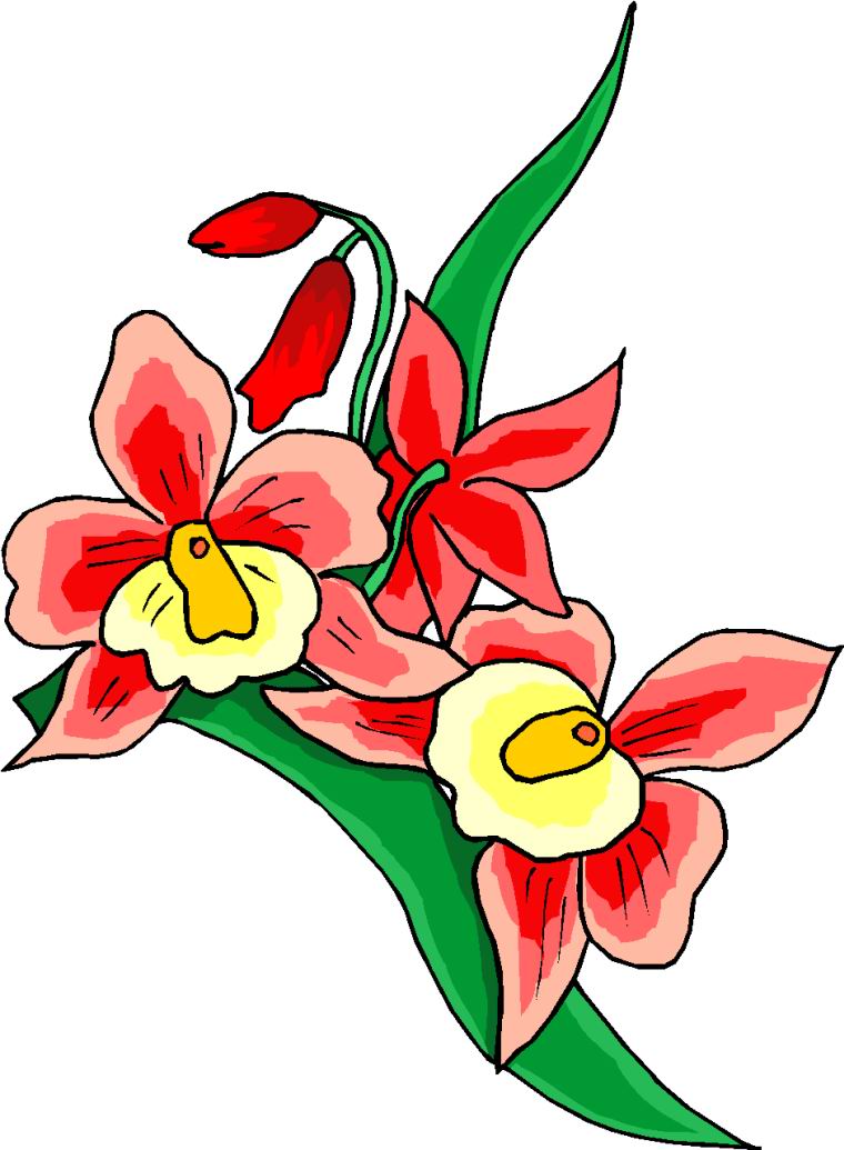 Flowers For > Red And Black Flower Clip Art