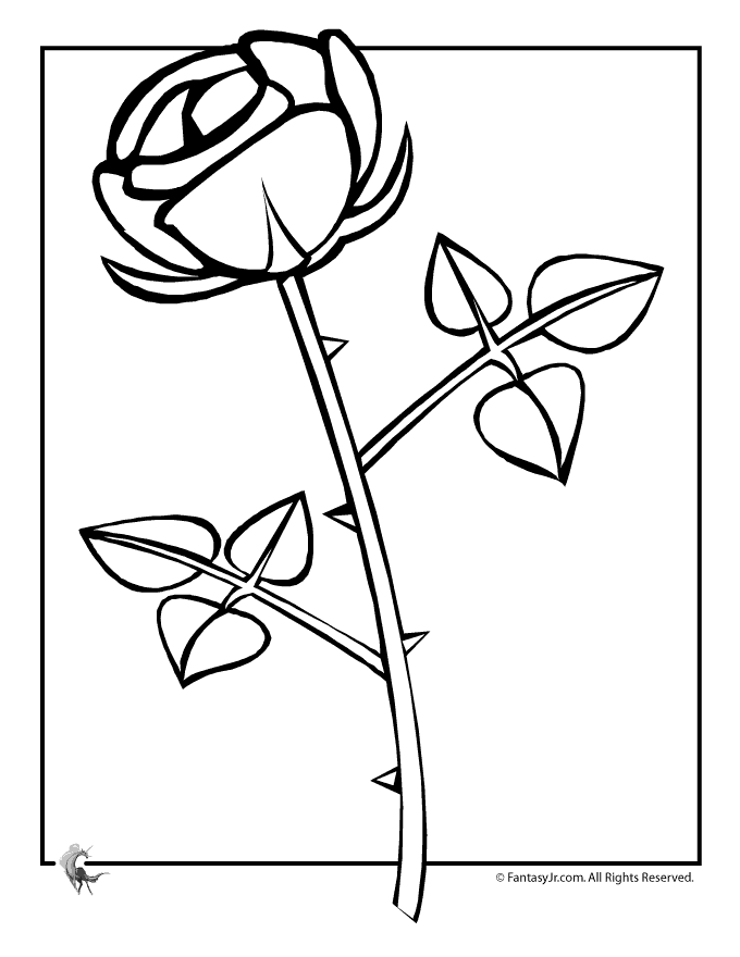 button of rose Colouring Pages (page 2)