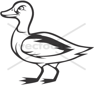 Mallard Duck in Black - Animals - Buy Clip Art | Buy Illustrations ...