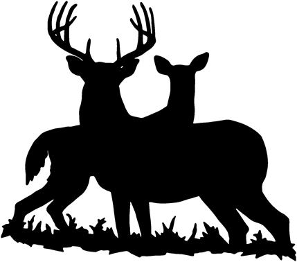 new WHITETAIL deer buck & doe hunting decal sticker - ClipArt Best ...
