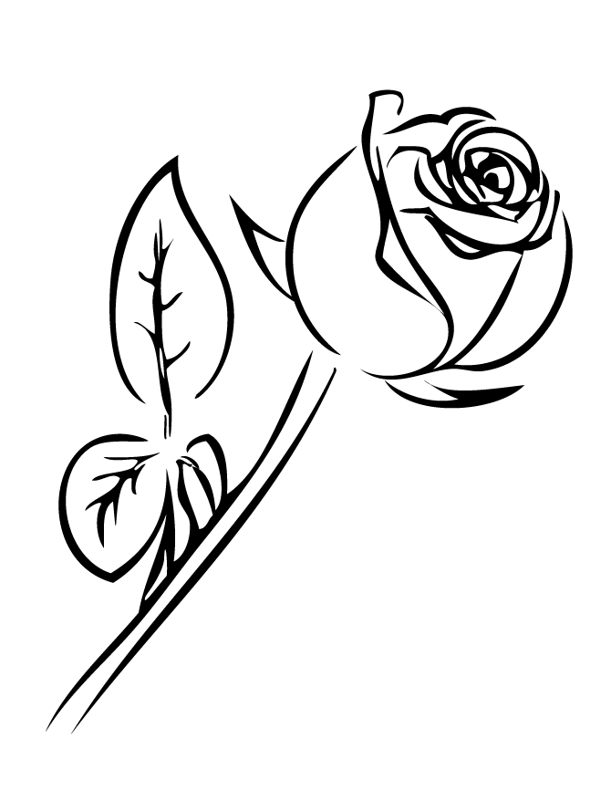 Rose Line Art - Cliparts.co