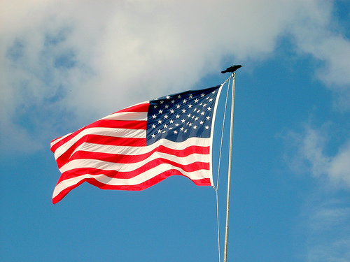 Crow Alights On Flagpole With American Flag Waving In Breeze ...