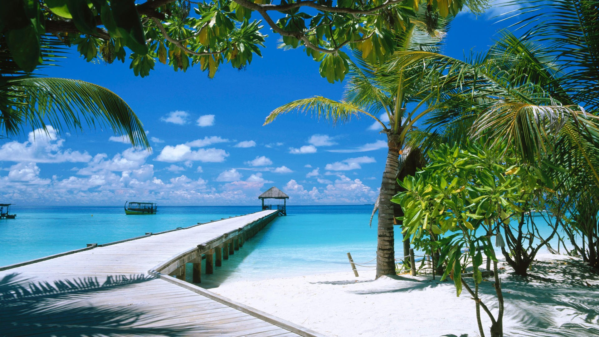 Desktop, beach, background, atoll, maldives (#181542)