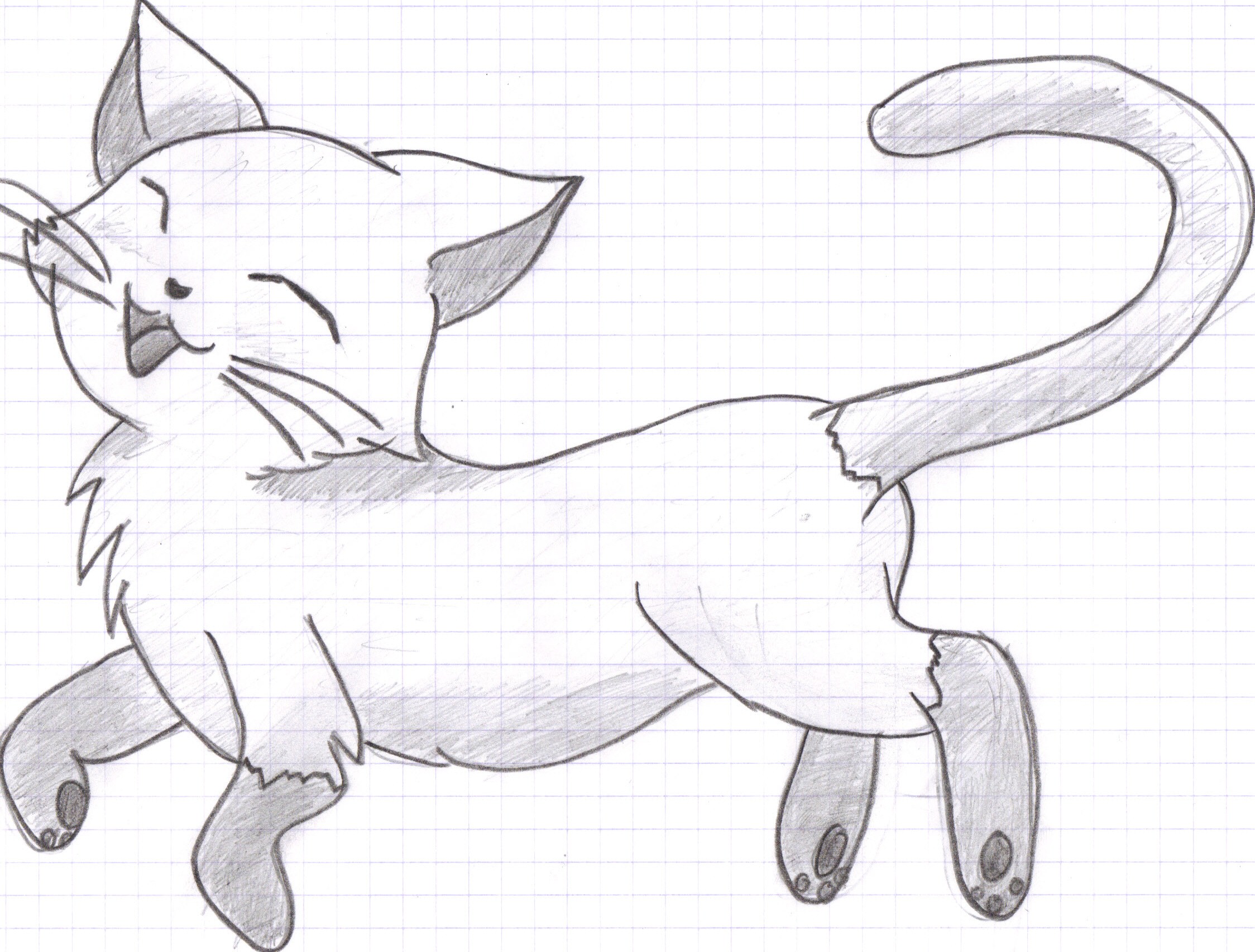 Cute Cat Images Drawing : Cute Cat Drawing Image | Bodheewasuep