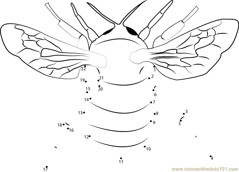 Honey Bumble Bee dot to dot printable worksheet - Connect The Dots