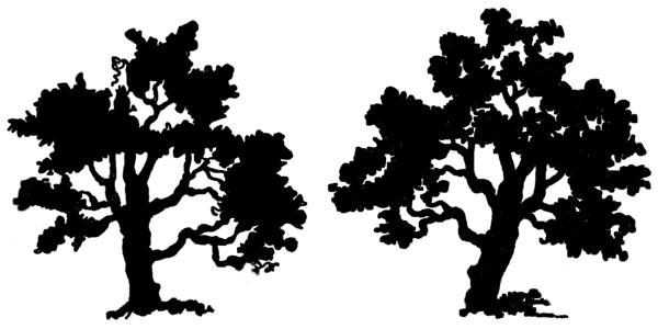 Amber Rose Fashion: tree silhouette pictures
