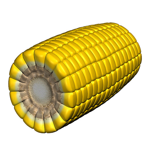 Page 2 For QuerySearch results for Cartoon Picture Of Corn On The ...