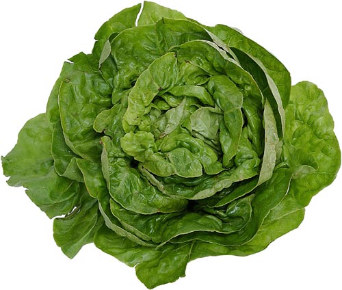 Re:Focus: How Do You Clean Lettuce?