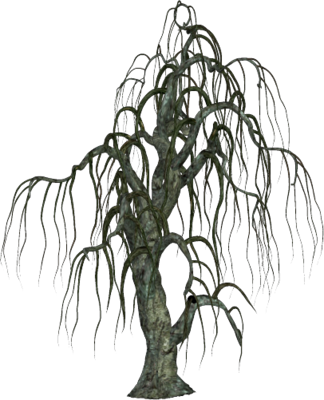 Scary Tree - Cliparts.co