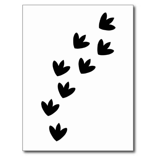 Dinosaur Footprints Postcards & Postcard Template Designs