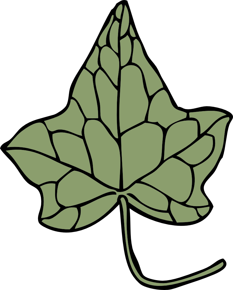 Ivy Leaf Clip Art - Viewing Gallery
