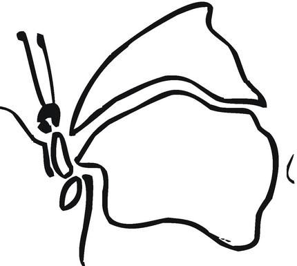 butterfly outline #