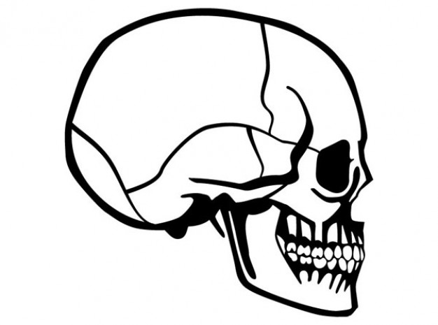 Evil Skull Vectors, Photos and PSD files | Free Download