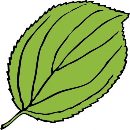 Serrate Leaf clip art - Download free Other vectors