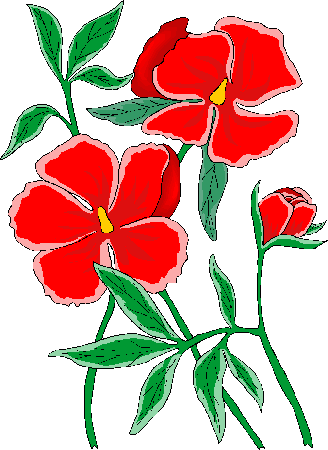 Clip Art Free Downloads Flowers Hd - Free Clip Art