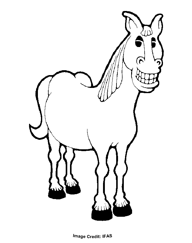 Horse Coloring Pages 45 275467 High Definition Wallpapers| wallalay.