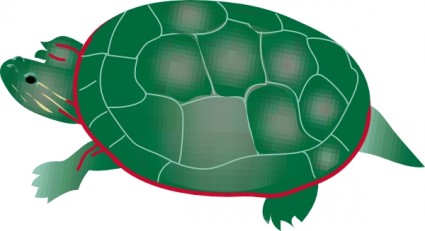 Painted Turtle Clip Art-vector Clip Art-free Vector Free Download