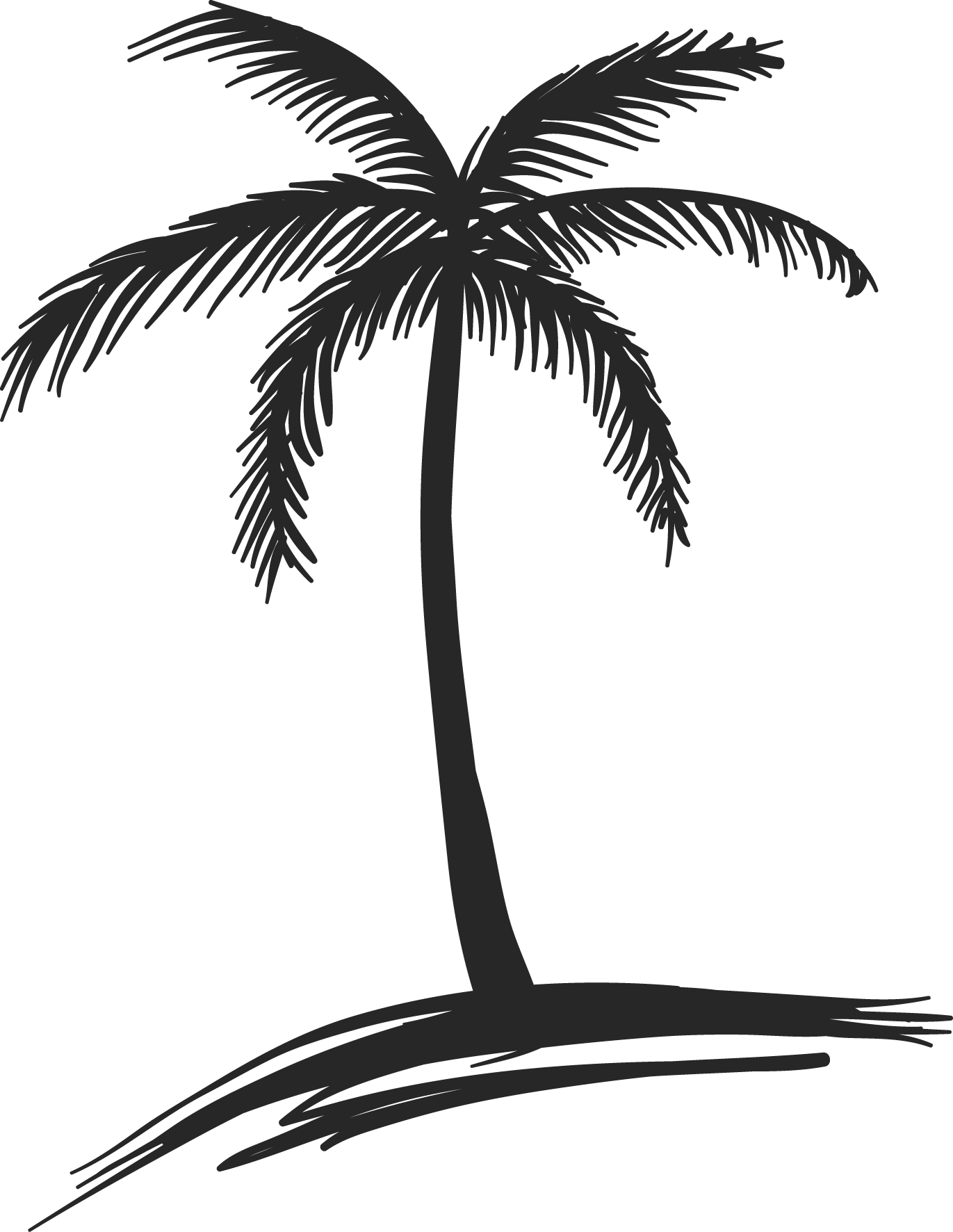 Palm Tree Leaves Drawing Outline ~ Palm Coloring Leaf Tree Branch ...