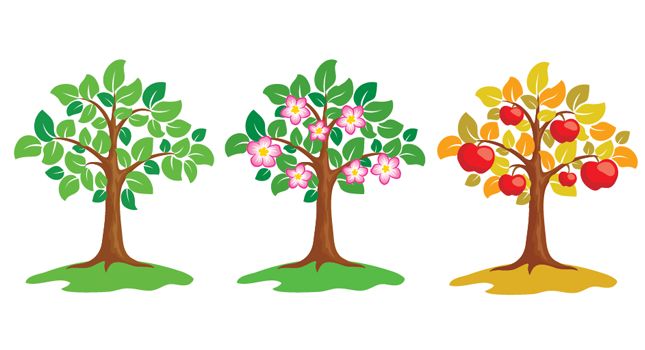 Apple Trees Vector | Free Vectors, Free Design