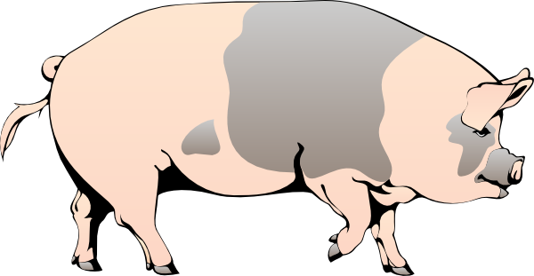 Animated Pictures Of Pigs - ClipArt Best