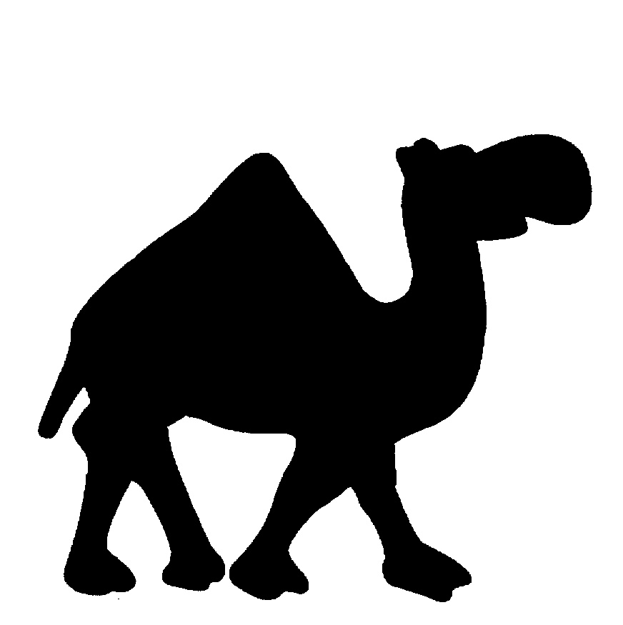 Camel Silhouette