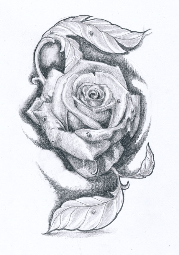 DeviantArt: More Like Rose tattoo design II by KlosMagda