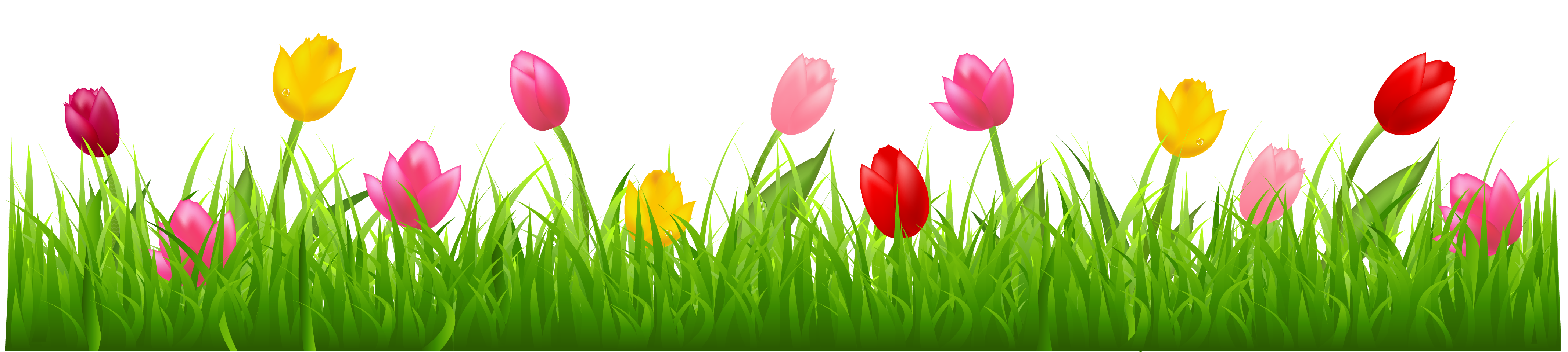 Grass with Colorful Tulips PNG Clipart