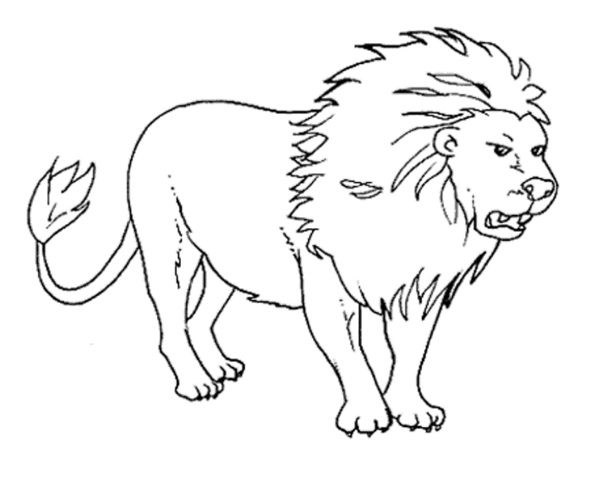 Lion Outline - AZ Coloring Pages
