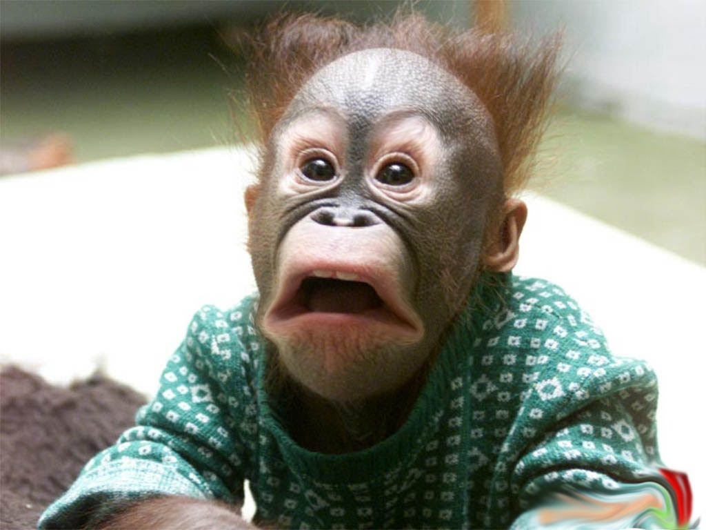 How To Draw Funny Monkey Face in Photoshop - YouTube