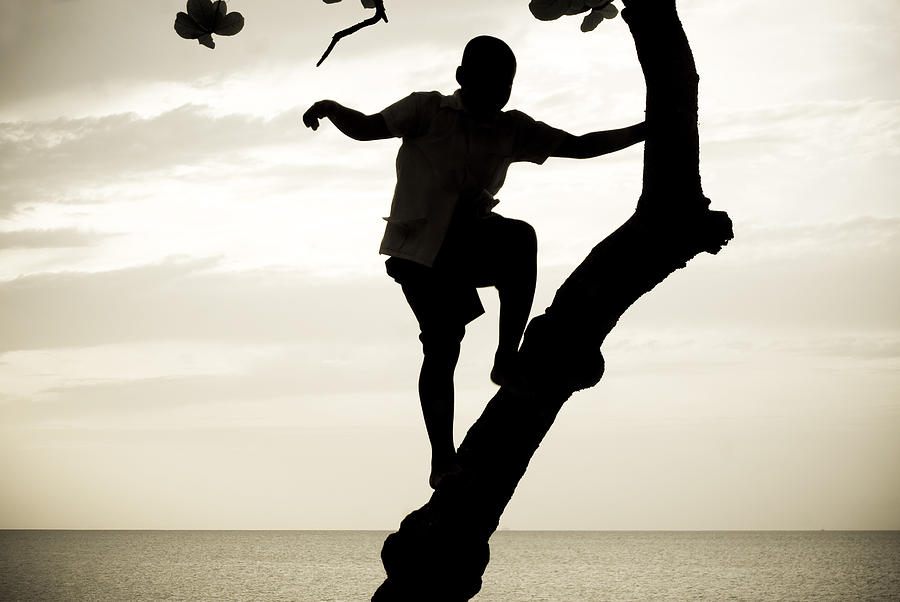 Boy Silhouette Climbing Tree by Benjamin Howell