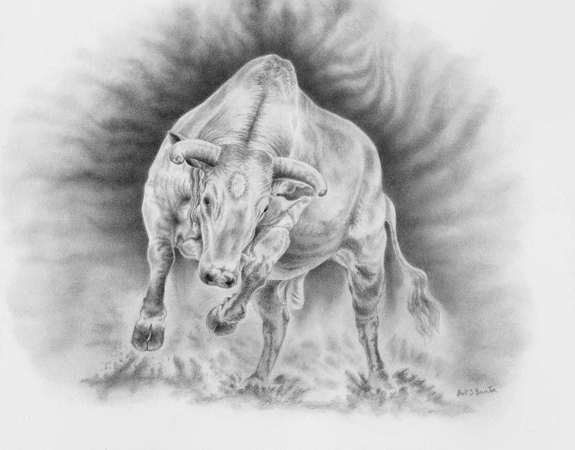 Bull Art Cows in art Western Art Bull by AnimalArtByJodi on Etsy