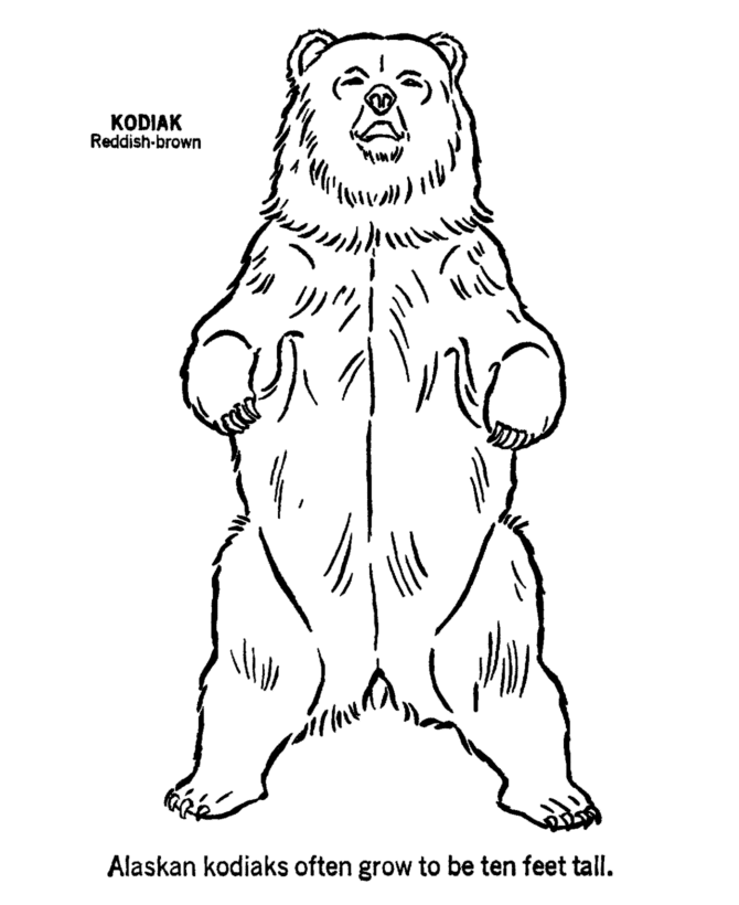 Animal Outlines to Print | Wild animal coloring page | Kodiak Bear ...