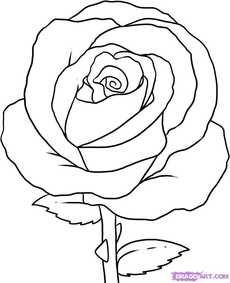 How to Draw a Simple Rose, Step by Step, Flowers, Pop Culture ...