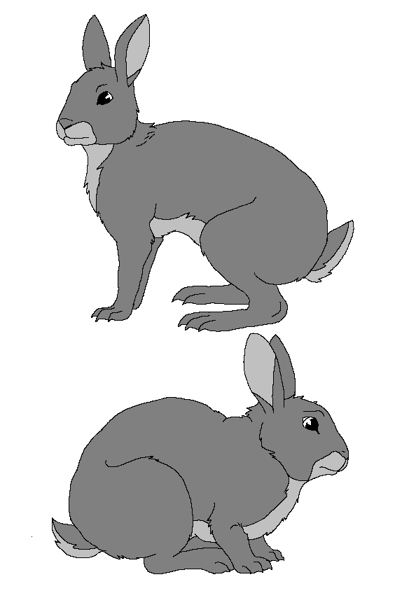 Free rabbit lineart by Alffis on deviantART