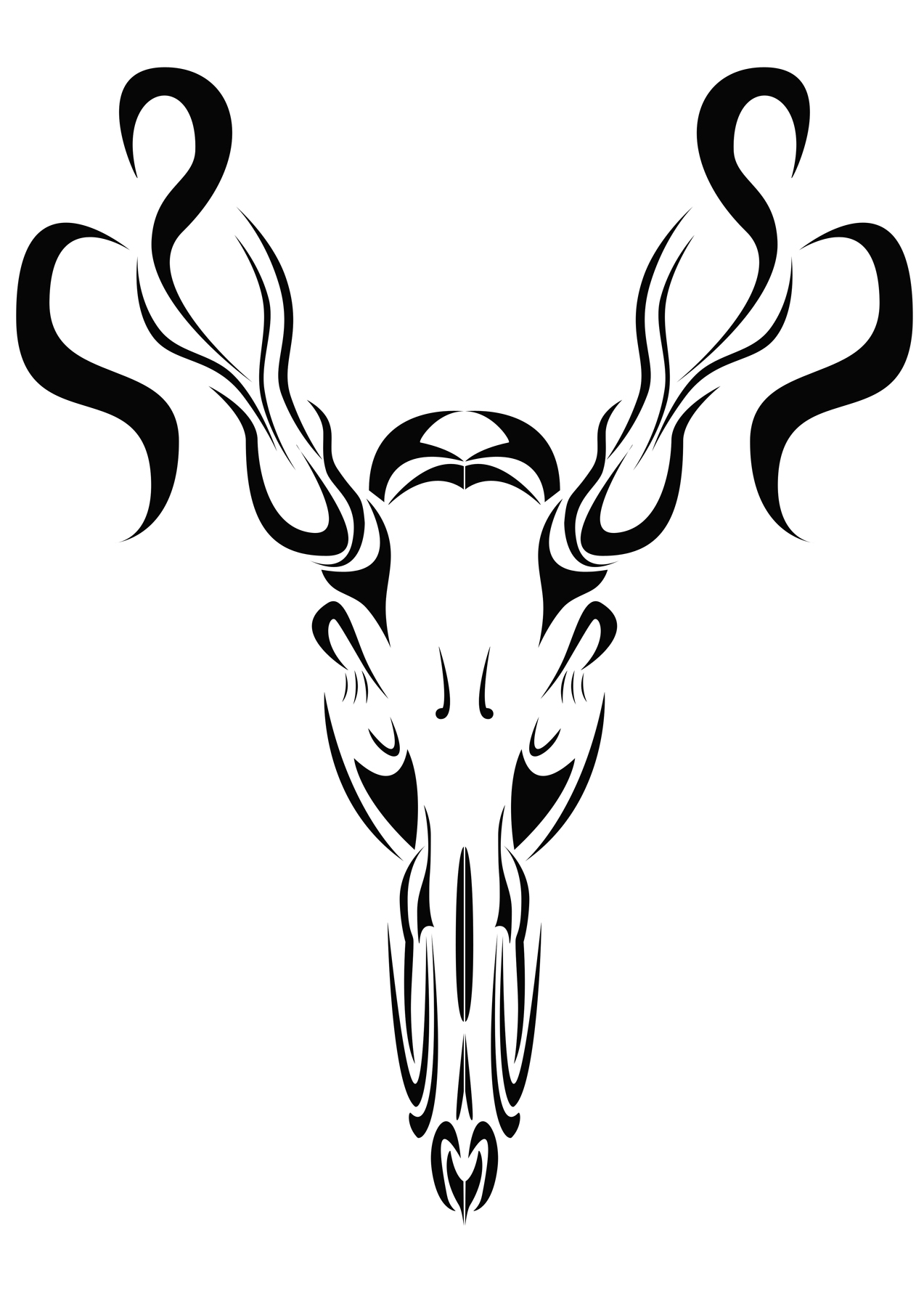 Images For > Buck Skull Drawing