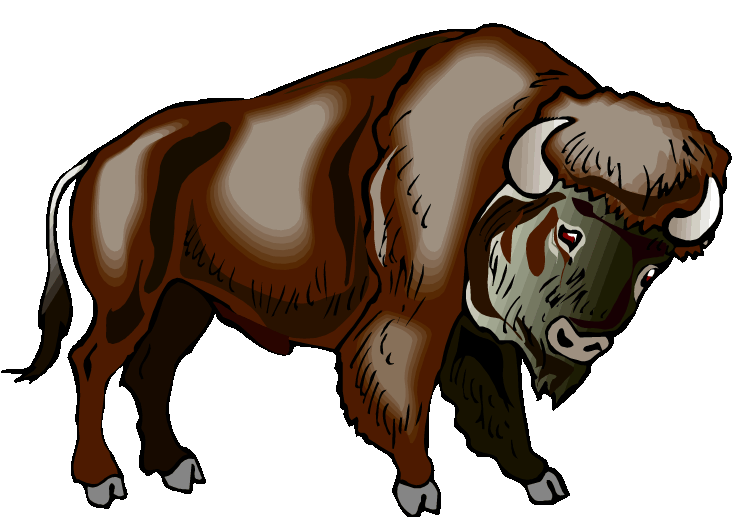 Free Buffalo Clipart