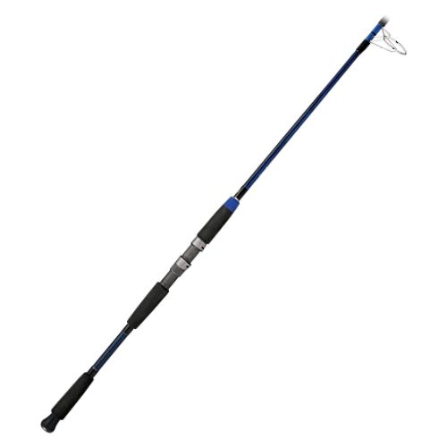 WTB rod for king fishing at the pier