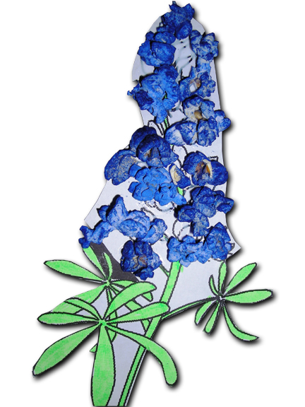 Pix For > Bluebonnets Clipart