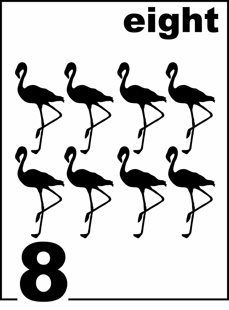English Flamingo Counting Card 8 | ClipArt ETC