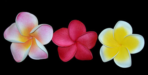Hawaiian Large Plumeria Pick, Jade Fashion - Aloha Wear Clothing Store