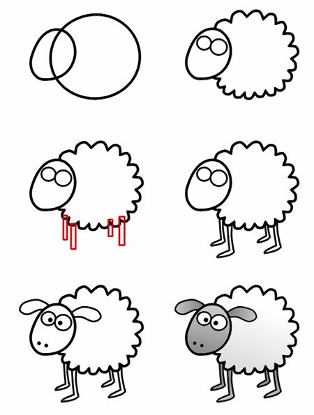 How to draw a cartoon sheep step-3 | Children's church | Pinterest